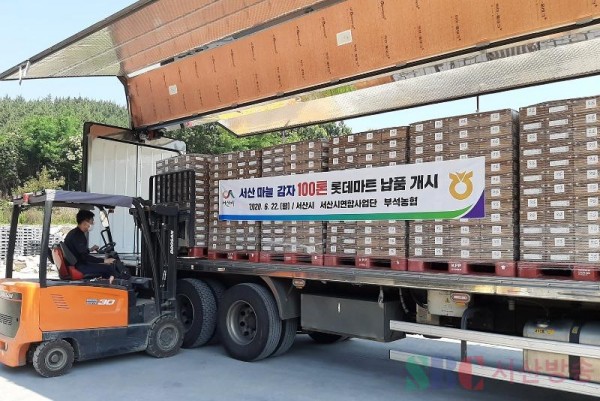 1.지난해 6월 22일 부석농협 서산 마늘, 감자 100톤 롯데마트 납품 개시 .jpg