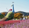 ‘2023 태안 가을꽃박람회’ 9월 15일 꽃지해안공원서 개막!