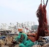 서해안 해양쓰레기, 예술 작품으로 ‘재탄생'