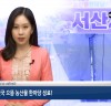 서산, 태안 뉴스+ 11월 둘째주 뉴스